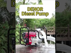 농업 및 가솔린 엔진에서 물을 펌프하는 자발적 원심 펌프